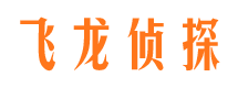 大足侦探